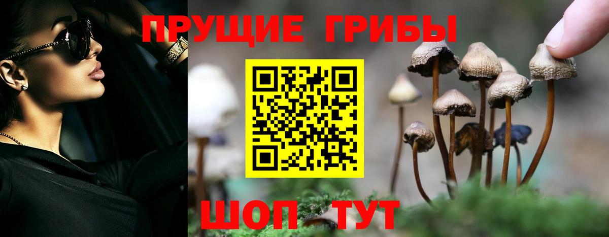 Галлюциногенные грибы MAGIC MUSHROOMS Малоярославец